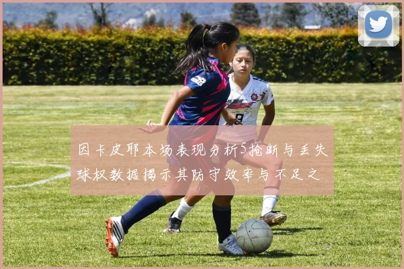 因卡皮耶本场表现分析5抢断与丢失球权数据揭示其防守效率与不足之处